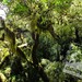 Pedra Furada: Urubici - SC