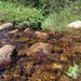 Pico do rinoceronte - SALDANHA