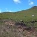 Pico do rinoceronte - SALDANHA
