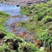 Pico do rinoceronte - SALDANHA