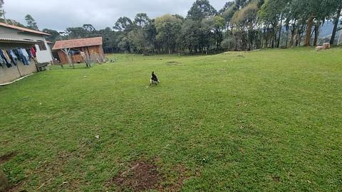 Camping Roça Velha