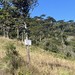 Pico do rinoceronte - SALDANHA