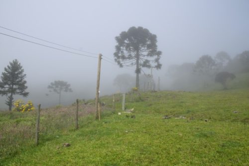 Camping da Ronda