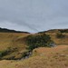 Pico do rinoceronte - SALDANHA
