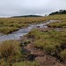 Laranjeiras - Funil - Completa