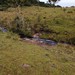 Laranjeiras - Funil - Completa