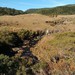 Canyon laranjeiras - Bom Jardim da Serra