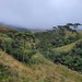 Pico Rinoceronte - Fazenda até Acampamento