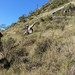 Pedra Furada: Urubici - SC