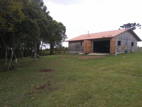 Camping Flores da Serra Gastronomia