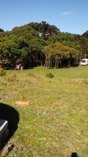 Camping Flores da Serra Gastronomia