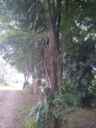 Camping Estância Guiamarães
