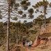 Pico do Rinoceronte, Bom Jardim da Serra-SC