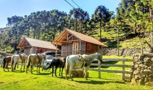 Camping Pousada Laranjeiras
