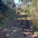 Funil Norte x Laranjeiras/ Rincão da Palha