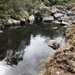 Rinoceronte
