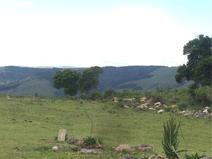 Camping Flores da Serra Gastronomia