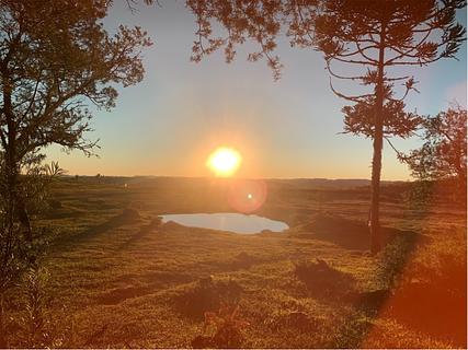 Camping Flores da Serra Gastronomia