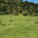 Cânion do Laranjeiras