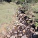 Pico do Rinoceronte, Bom Jardim da Serra-SC