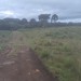 Canyon laranjeiras - Bom Jardim da Serra