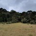 Canyon laranjeiras - Bom Jardim da Serra