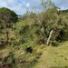 Canyon laranjeiras - Bom Jardim da Serra