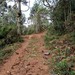 Canyon laranjeiras - Bom Jardim da Serra