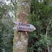 Canyon laranjeiras - Bom Jardim da Serra